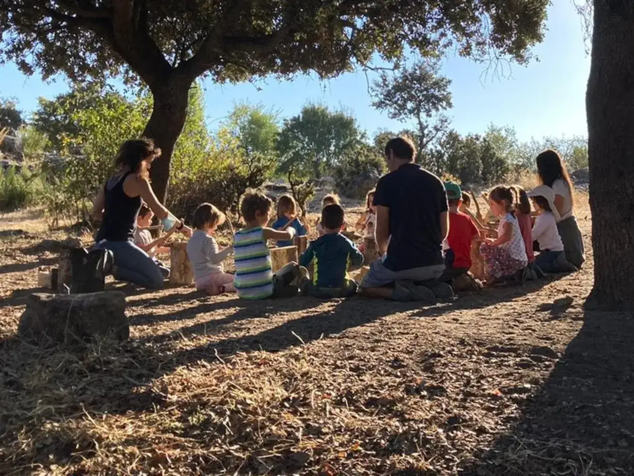 Ni&ntilde;os y adultos sentados bajo un &aacute;rbol, participando en juegos de conocimiento del medio.