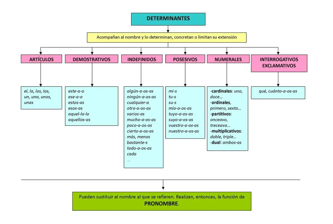 Diagrama de los tipos de determinantes: artículos, demostrativos, indefinidos, posesivos, numerales e interrogativos/exclamativos.