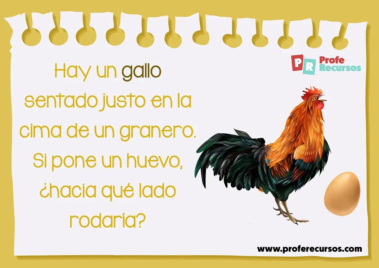 Un gallo en la cima de un granero. ¿Hacia dónde rodaría el huevo? Divertidas adivinanzas de animales para pensar.